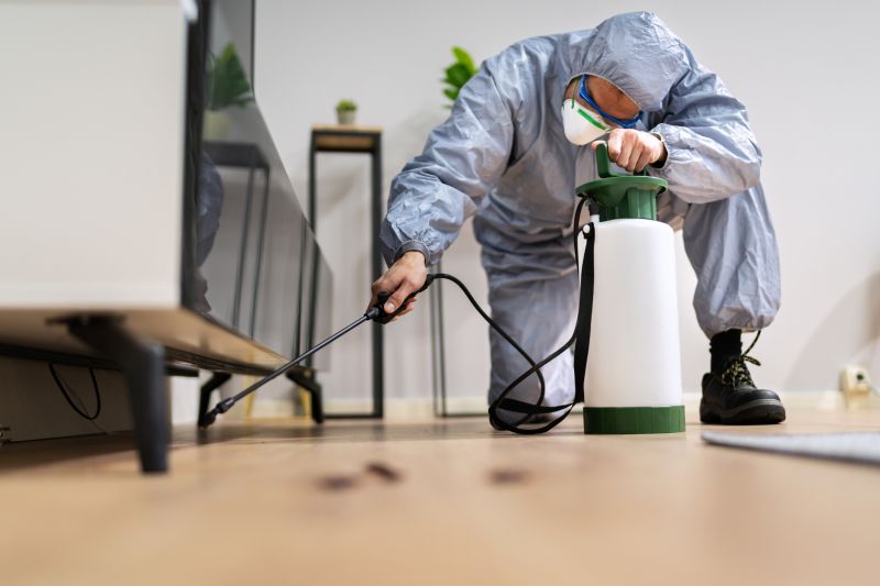 Pest Control Service in Frisco, TX